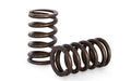 Kelford Valve Spring Kit image 1
