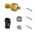 AEM Fluid Pressure Sensor Brass 100psi