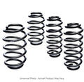 Eibach Pro-Kit Performance Lowering Springs