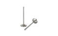 Kelford Ferrea +1mm Exhaust Valve Set - Nissan Skyline GTS-T (RB25DET NVCS) image 1