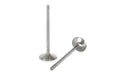 Kelford Supertech +1mm Exhaust Valves Set of 12 image 1