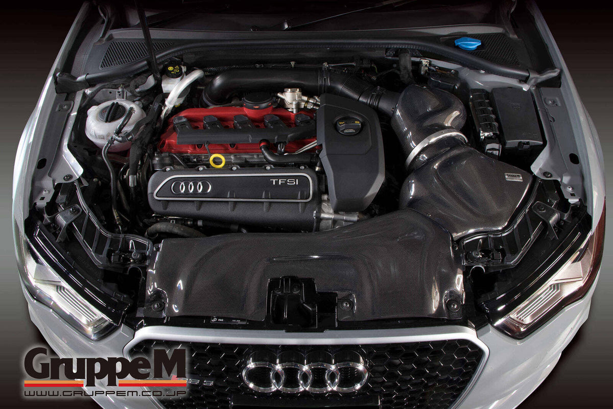 GruppeM Carbon Fibre Ram Air Intake System - Carbon Fibre Ram Air Intake - FRI-0220