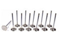 Kelford Ferrea Intake Valve Set of 12 image 1