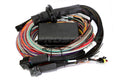 Haltech Elite 1500/2500/2500T Premium Universal Wire-In Harness Only - 2.5m image 1