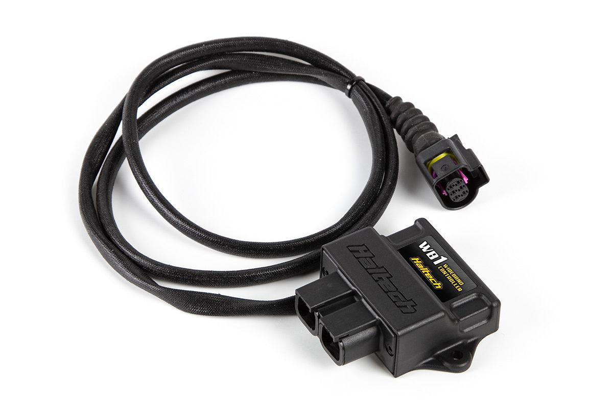 Haltech WB1 Single Channel CAN O2 Wideband Controller Kit image 3
