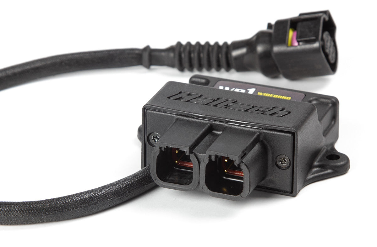 Haltech WB1 Single Channel CAN O2 Wideband Controller Kit image 2