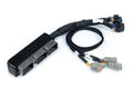 Haltech Nexus S3 Plug 'n' Play Adapter Harness