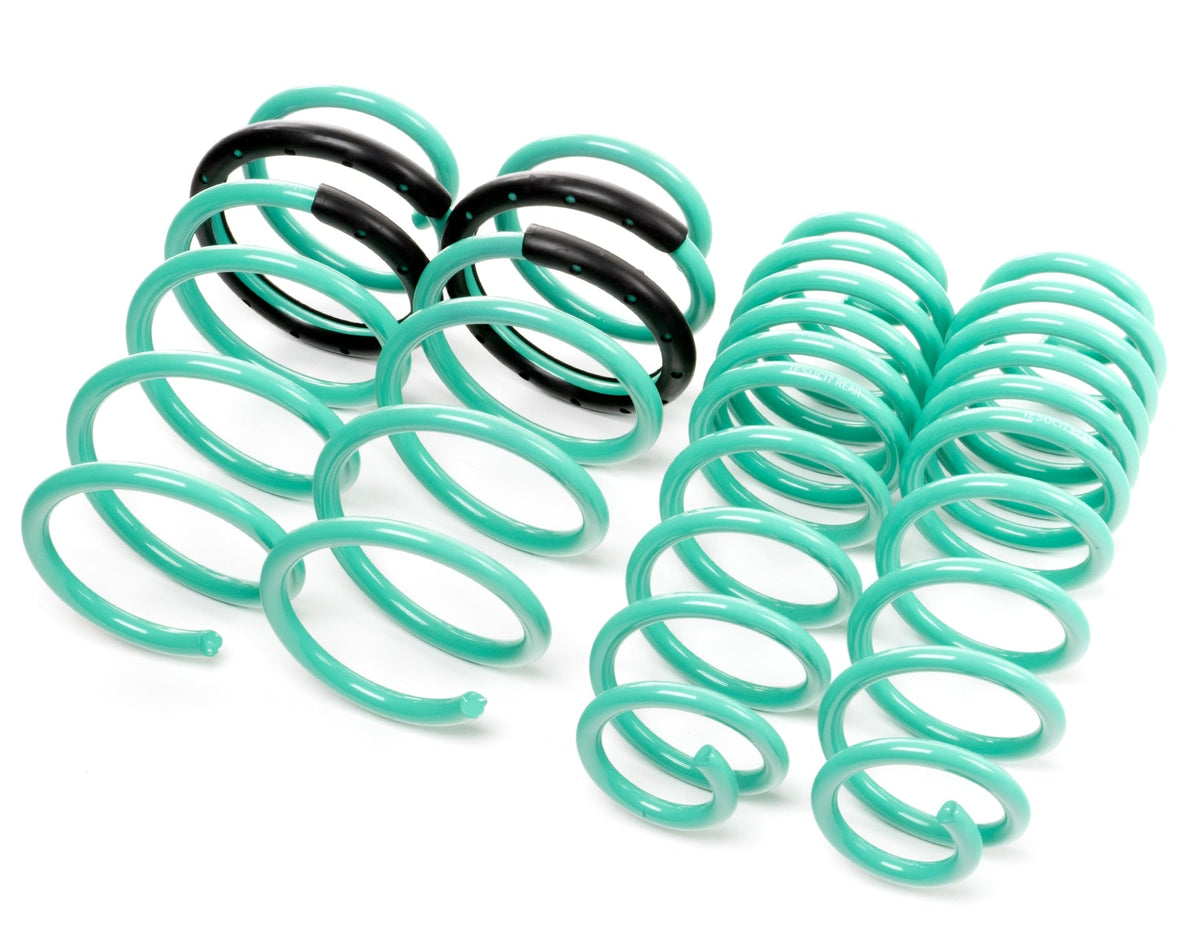 Integrated Engineering Performance Lowering Springs image 1