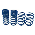 Ford Performance Street Lowering Springs - Ford Mustang GT/Ecoboost 15-21 M-5300-XA | Pro Speed