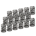Supertech Dual Valve Spring Kit image 1
