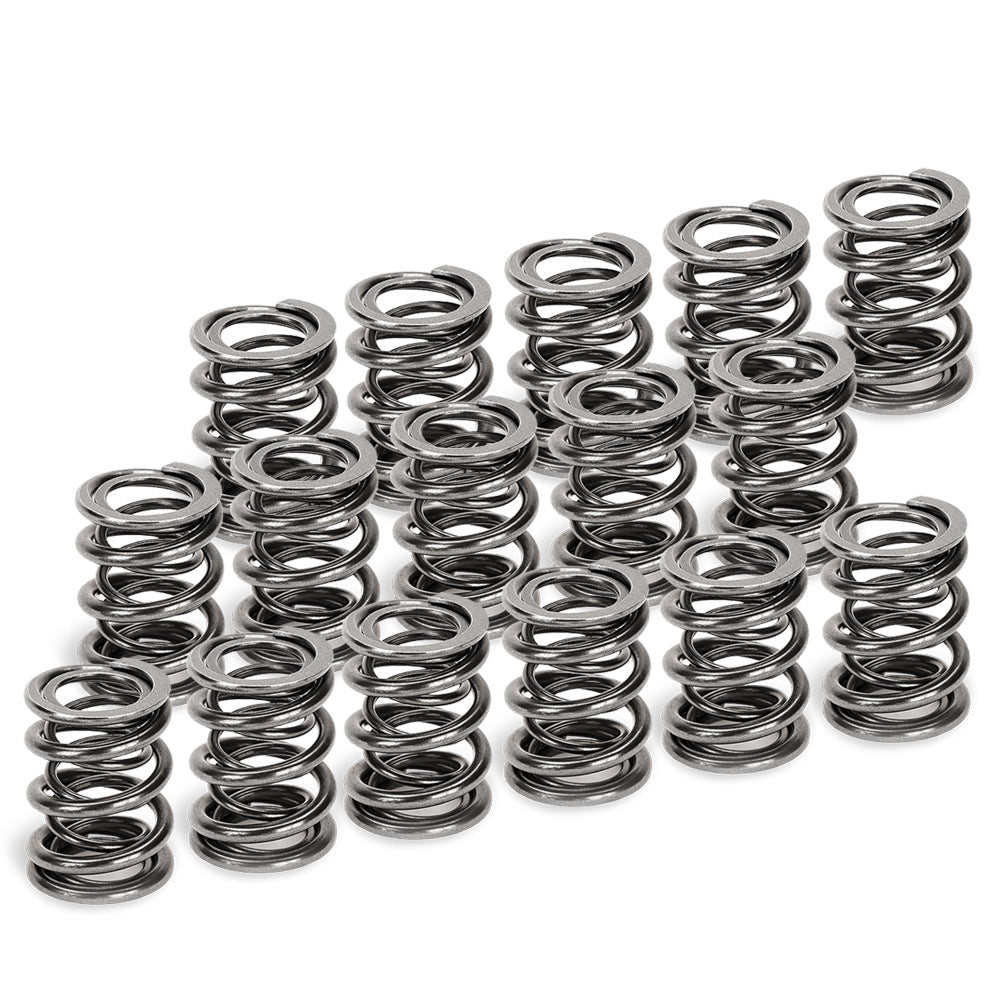 Supertech Dual Valve Spring Kit image 1
