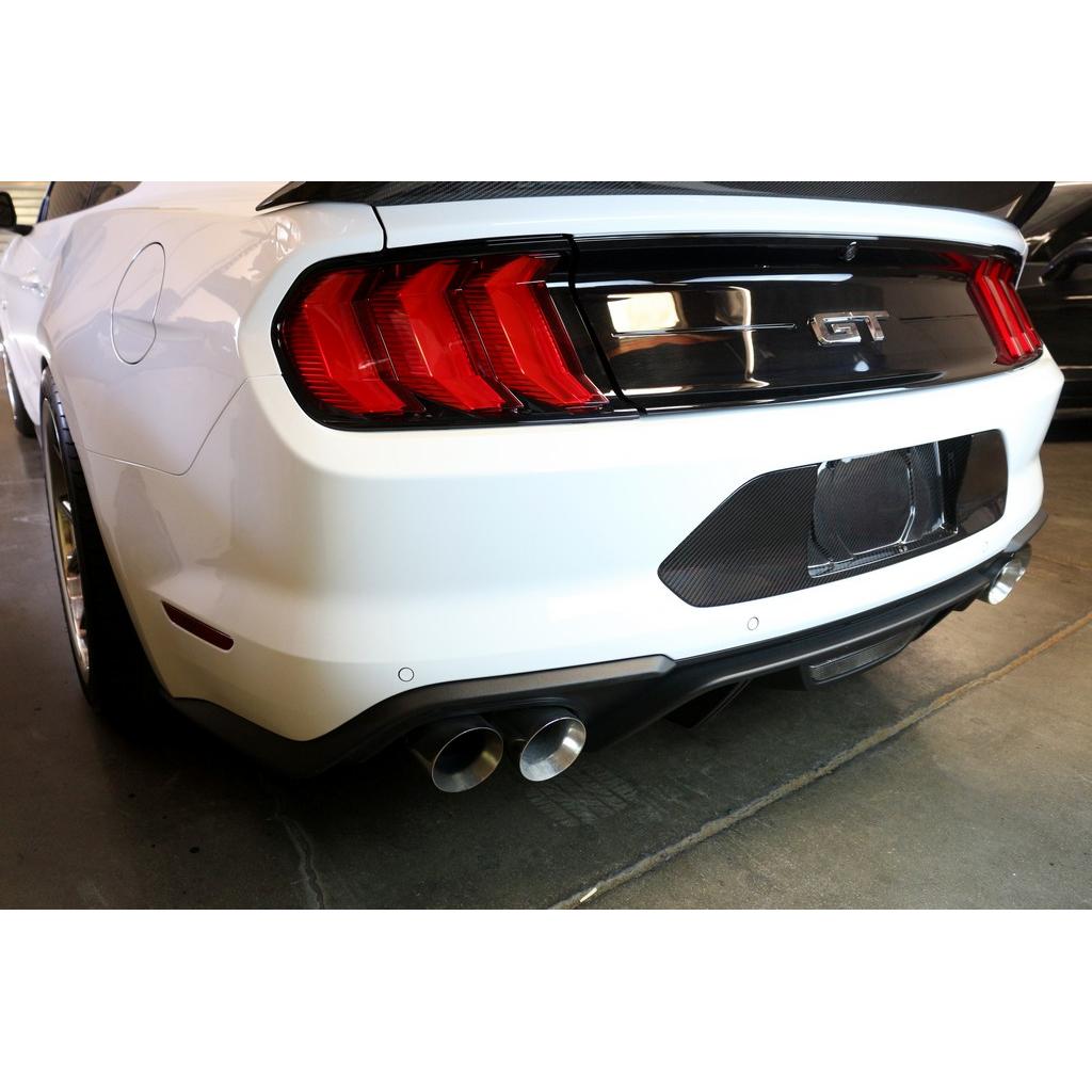 APR Performance Carbon Fibre License Plate Backing image 3