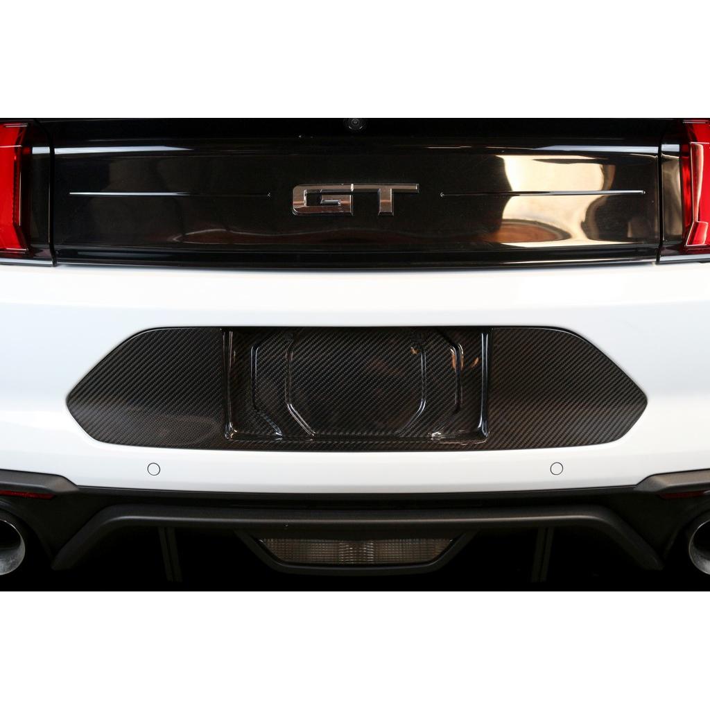 APR Performance Carbon Fibre License Plate Backing image 2