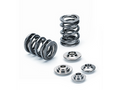 Ford ECOBOOST 2.0L/2.3L Dual Valve Spring Kit (Use with OEM seal) — SPRK-TS1012-FE2