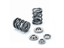 Ford ECOBOOST 2.0L/2.3L Dual Valve Spring Kit (Use with OEM seal) — SPRK-TS1012-FE2